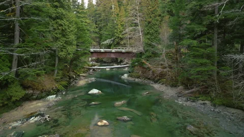 Passing under a logging road bridge in northwestern BC Stock Footage 220899508