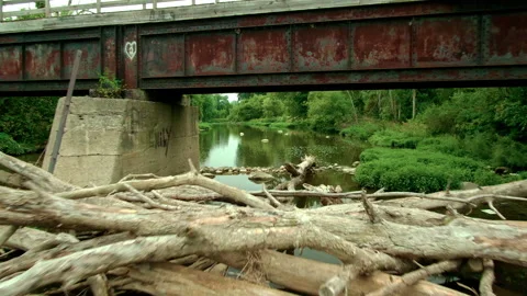 Passing under rustic bridge over river and brush Stock Footage 209292699