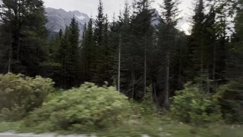 Passing view of forest, mountain peaks in banff from car passenger pov Stock-Footage 302543478