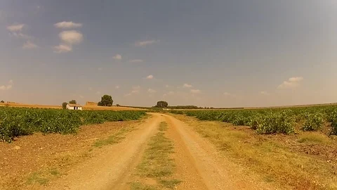 Passing by the vineyard cottage Stock Footage 78359107