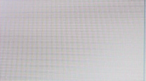 Passion Stock Footage 24244795