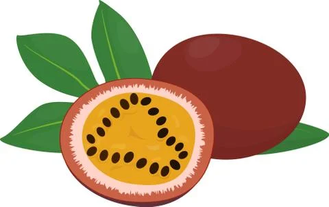 Passion fruit and slice.vector illustration Stock Illustration