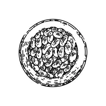 Passion fruit cut sketch hand drawn vector Stock Illustration