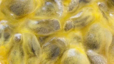 Passion fruit Stock-Footage 166697311