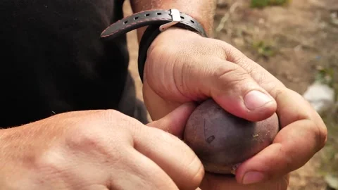 Passion Fruit Vídeo Stock 202632976