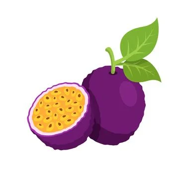 Passion fruit icon in flat style. Passionfruit vector illustration on isola.. Stock Illustration