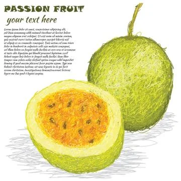 Passion fruit Stock Illustration