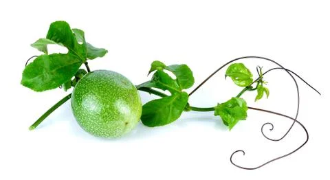 Passion Fruit isolated on the white background Stock Photos