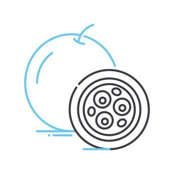 Passion fruit line icon, outline symbol, vector illustration, concept sign Stock Illustration
