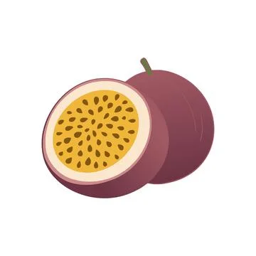 Passion fruit open half showing juicy pulp Stock Illustration