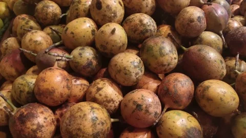 Passion fruit (Passiflora edulis) Video stock 149860835