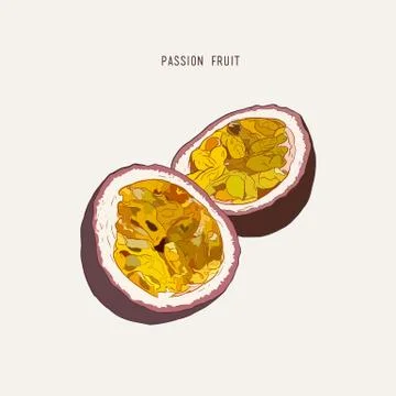 Passion fruit, passion slice. Vector hand drawn illustration Stock Illustration