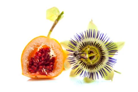 Passion fruit Stock Photos