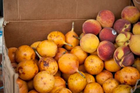 Passion Fruit Stock Photos