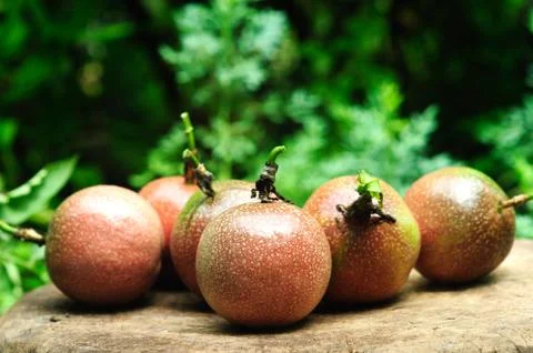 Passion fruit Stock Photos