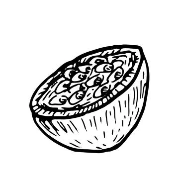 Passion fruit piece outline isolated. Vector food illustration of tropical .. Stock Illustration