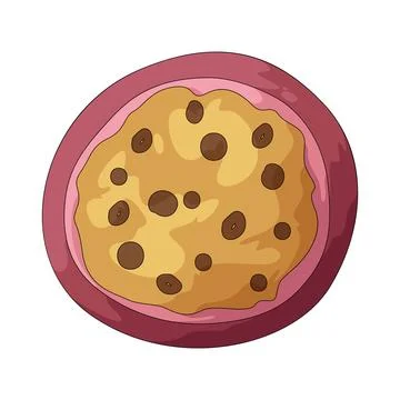 Passion fruit slice illustration Stock Illustration
