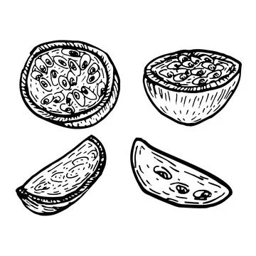 Passion fruit vector fresh and dried slices set. Engraved tropical Stock Illustration