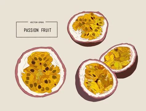 Passion fruit vector illustration Stock Illustration