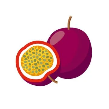 Passion fruit vector illustration isolated on white background. Juicy tropical 스톡 일러스트