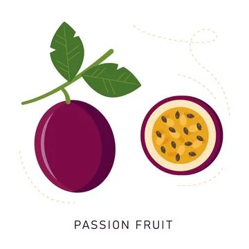 Passion fruit. Vector illustration of a whole passion fruit with leaves Stock Illustration
