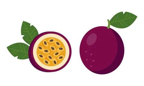 Passion fruit. Vector illustration of whole and half passion fruit Stock Illustration