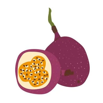 Passion fruits set. Vector exotic sweet food. Hand drawn flat composition Stock Illustration