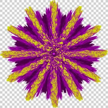 Passion purple and yellow flower by design Illustrazione stock