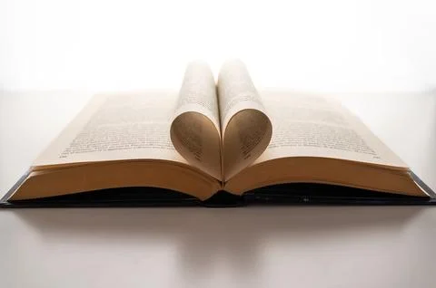 Passion for reading. Stock Photos