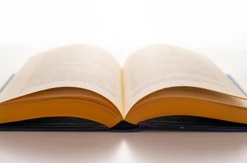 Passion for reading. Stock Photos