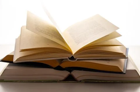 Passion for reading. Stock Photos