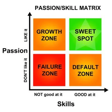 Passion skill matrix Stock-Illustration