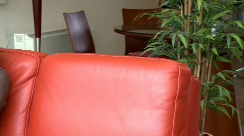 Passionate woman reading a magazine Stock Footage