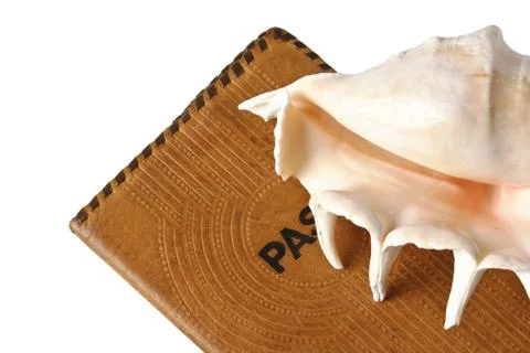 Passport and seashells Foto stock