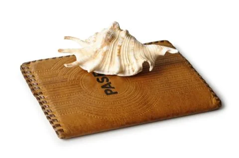 Passport and seashells 스톡 사진