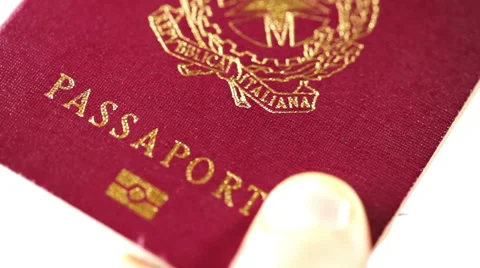 Passport Control at the custom Stock Footage 46092525