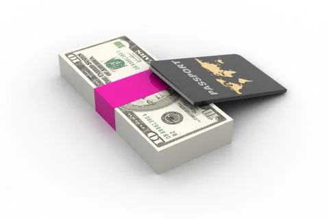 Passport with currency Free Stock Illustration