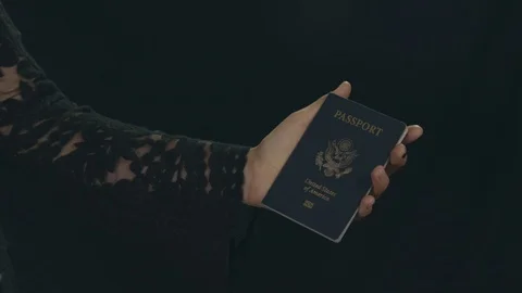 Passport Stock Footage 110536936