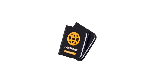 Passport icon animation 3d render Stock-Footage 314738345
