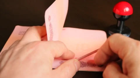 Passport pages Video stock 60424741