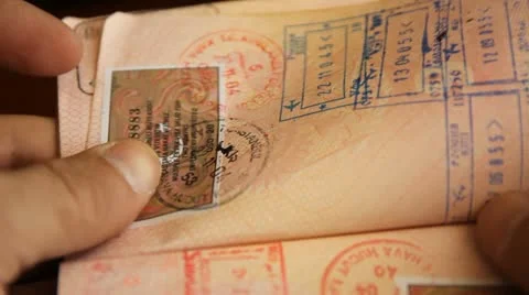 Passport. Passport control at the customs Video stock 10907249