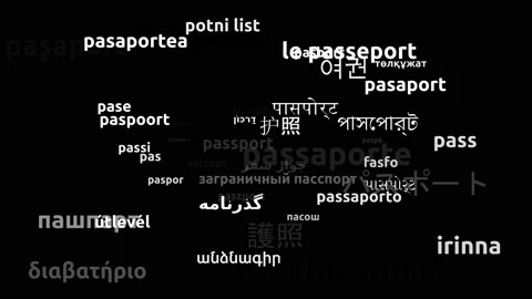 Passport Translated in 52 Worldwide Languages Endless Looping 3d Zooming Word Stock-Footage 145216441