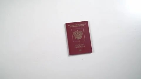 Passport Verification at an International Border Control Vídeo Stock 241903124