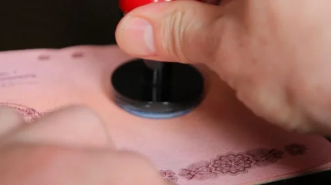 Passport, visa, stamp Stock Footage 60423846