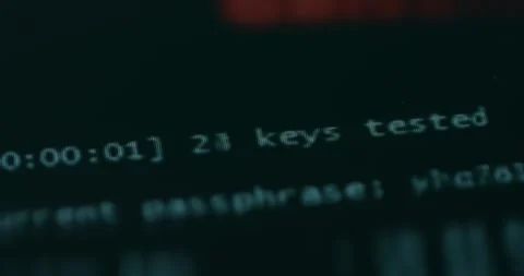 Password Decryptor, Testing keys, macro view 動画素材 310805880