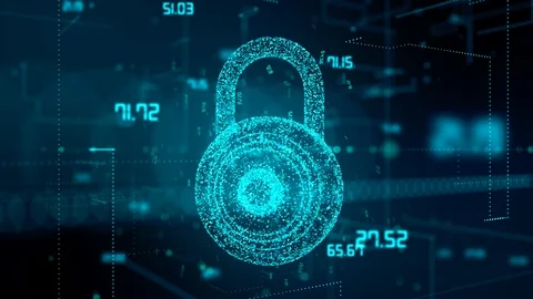 Password key Internet privacy online data and network identity protection Stock Footage 106962686