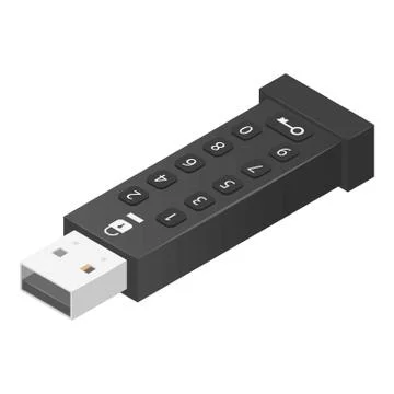 Password usb flash icon, isometric style Stock Illustration