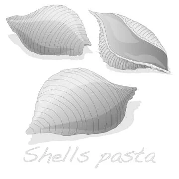 Pasta - Conchiglioni "Shell Pasta" Illustrazione stock
