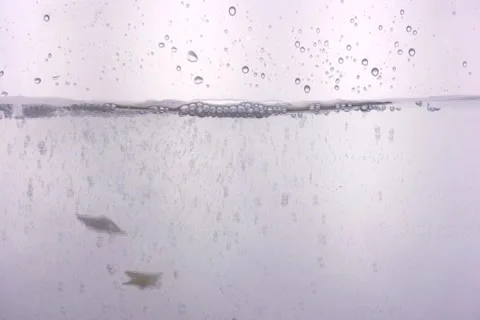 Pasta drops in water Video stock 906902