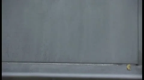 Pasta in factory Stock Footage 18549318